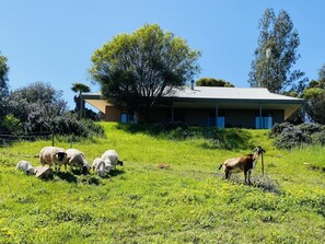 Aussenbereich
