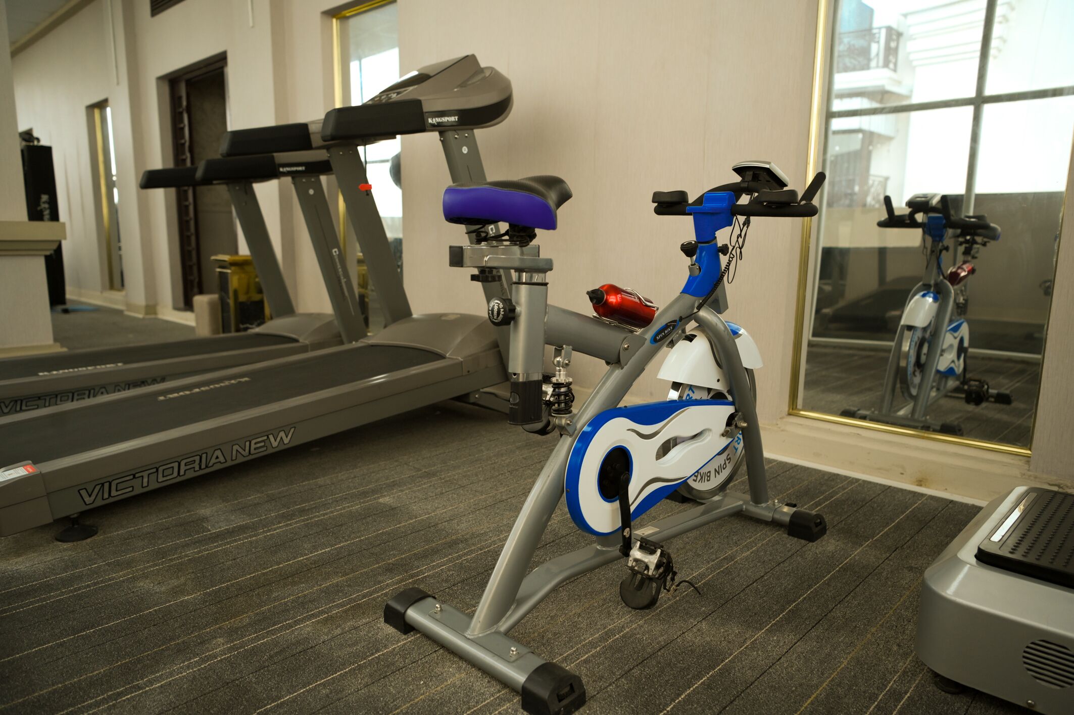 A gym with a treadmill and a stationary bike.