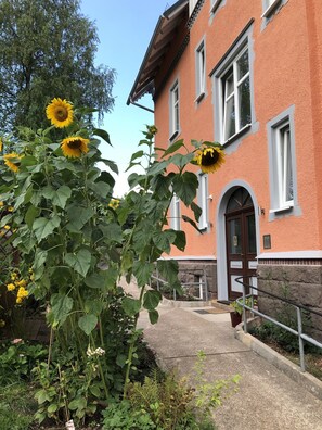 Ulkoalueet