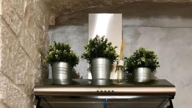 Een keuken met een fornuis, een raam en drie planten in potten op een plank.