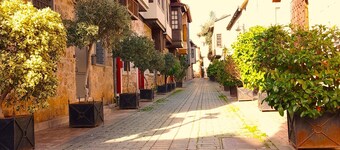 Warm Studio Flat with Patio LOTUS