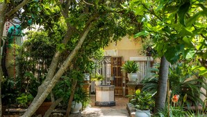 A garden pathway leading to a building entrance, surrounded by various potted plants and trees. - Holiday Home 'Ca La Senyora Dels Arbres' with Private Pool, Terrace and Wi-Fi (Arta)