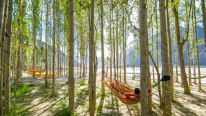 Una hamaca colgada entre árboles en un bosque, con vista a una playa y montañas al fondo.