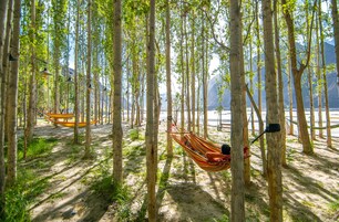 A hammock suspended between trees in a forested area with a view of a beach and mountains in the background.