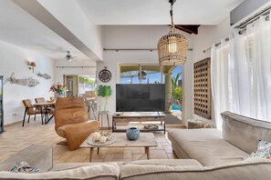TV