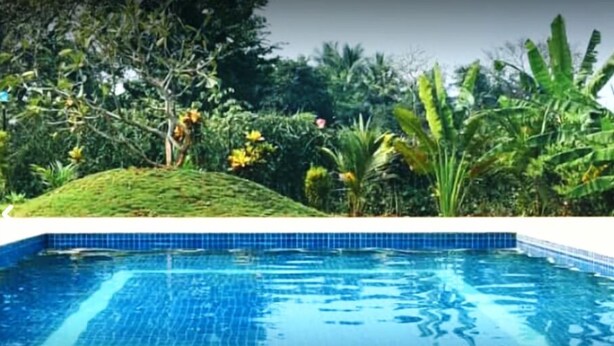 Ein Schwimmbecken mit klarem, blauem Wasser, umgeben von üppiger Vegetation und tropischen Pflanzen.