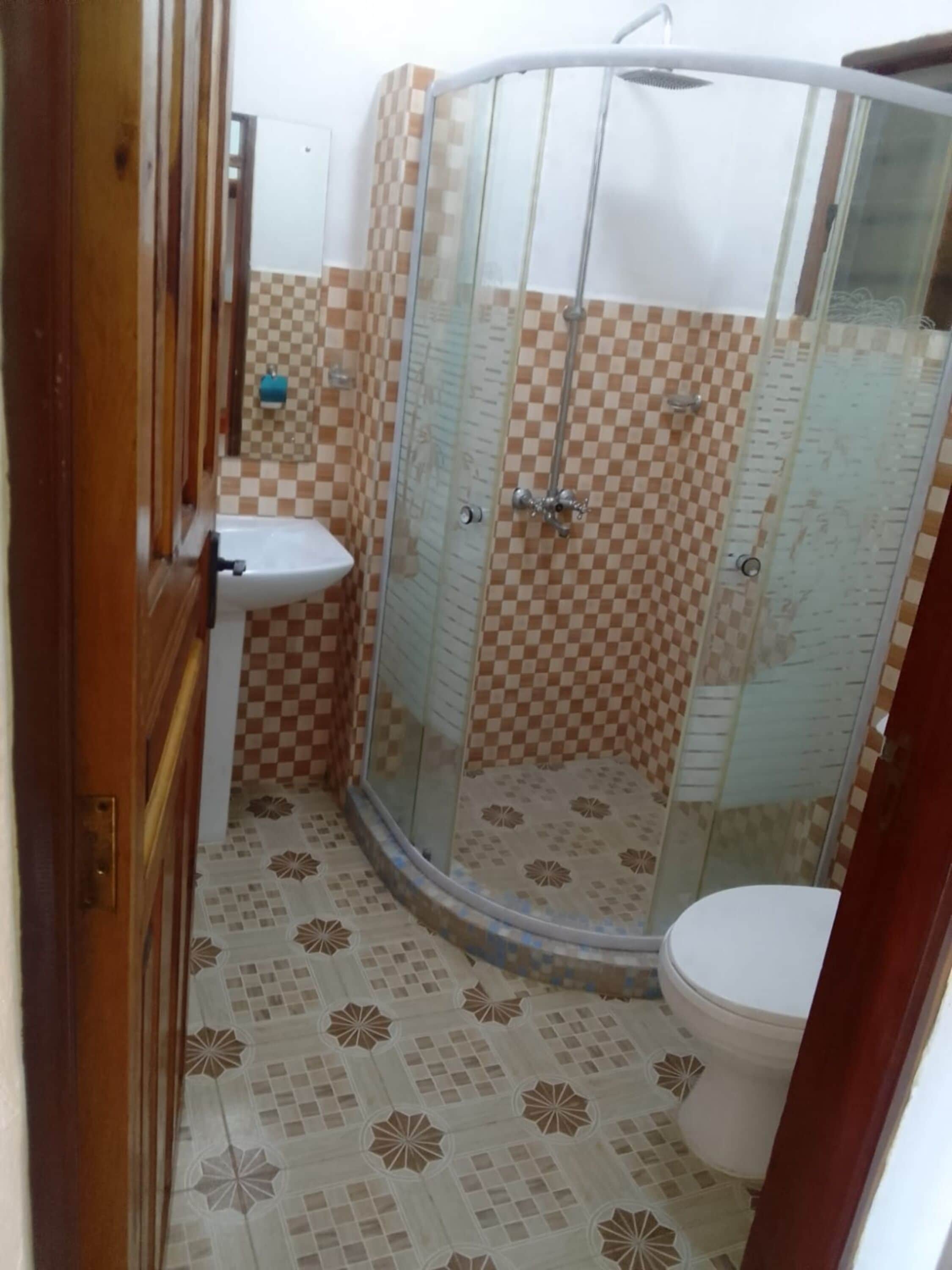 Een badkamer met een douche met glazen wand, een toilet en een wastafel.
