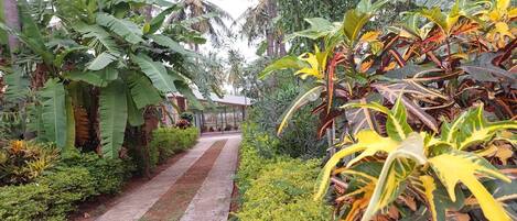 Áreas de la propiedad