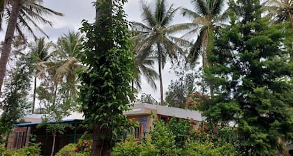 Coco Palms Homestay