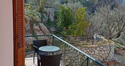 Georgias House Project Ground Floor