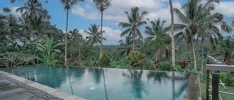 Basic Villa, Multiple Beds | Pool | Outdoor pool, an infinity pool