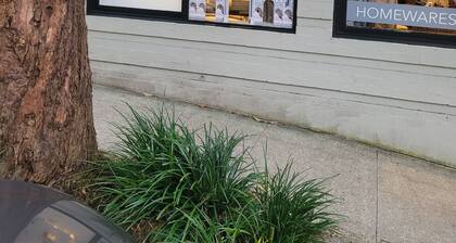 Stylish Art Deco Studio in the heart of Rushcutters Bay