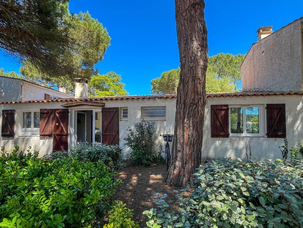 Una casa rústica con jardín, un árbol grande y una bicicleta.