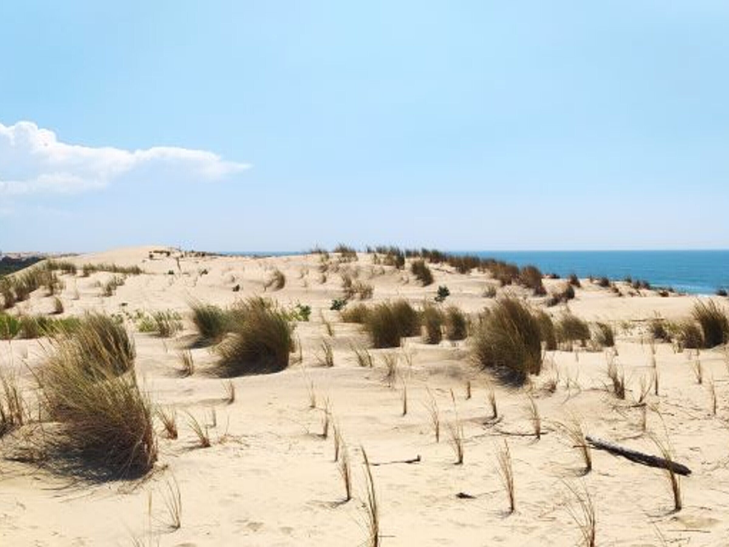 Una spiaggia nelle vicinanze