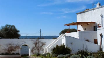 Facciata della struttura