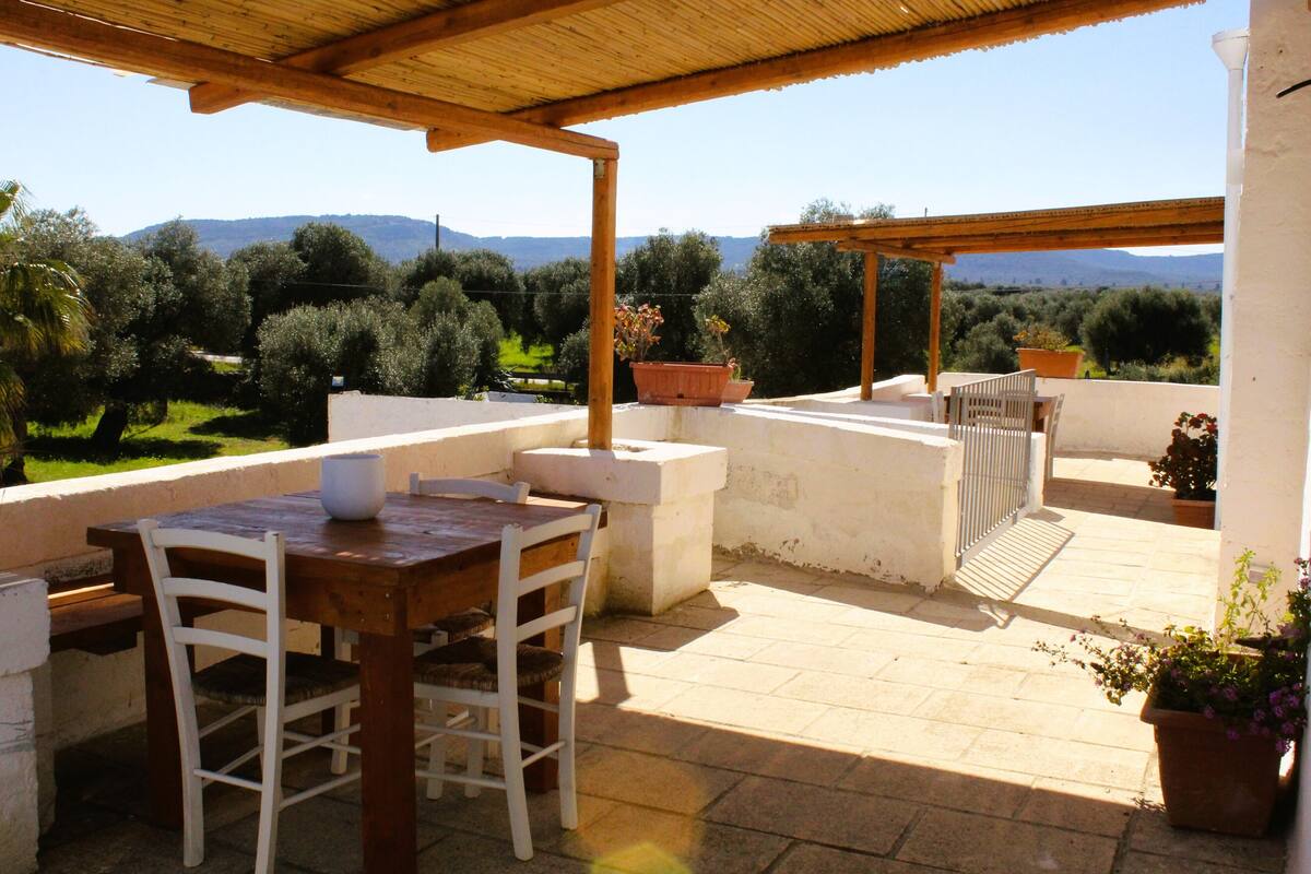 Une terrasse extérieure avec une table et des chaises en bois, entourée de plantes en pot et offrant une vue sur la campagne.