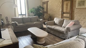 TV connectée, cheminée, lecteur de DVD, livres
