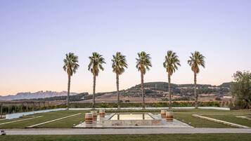 A landscaped area with palm trees and a rectangular pool with stone accents.