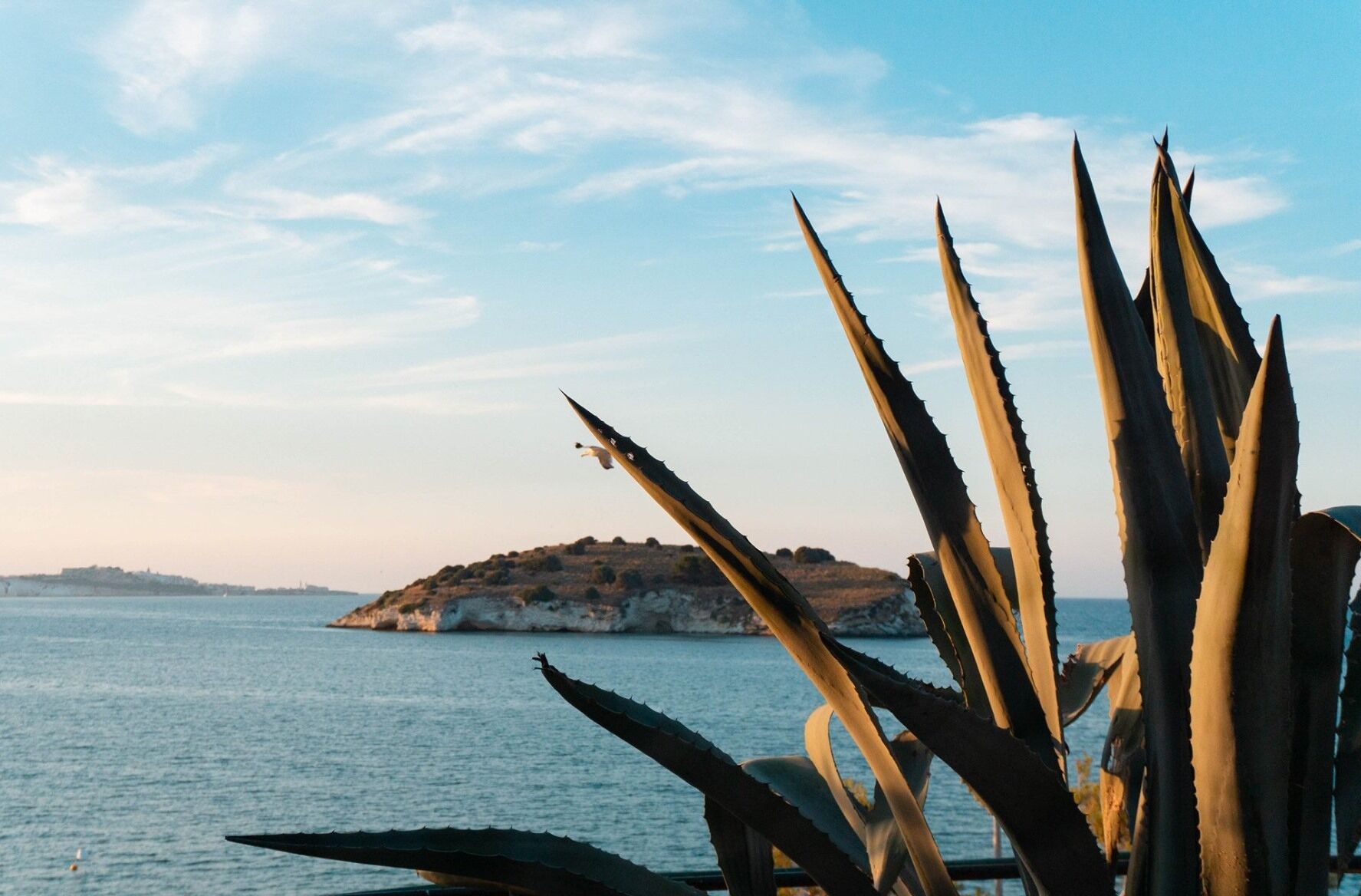 Foto - Gattarella Family Resort Puglia - Premium Half-Board à la carte