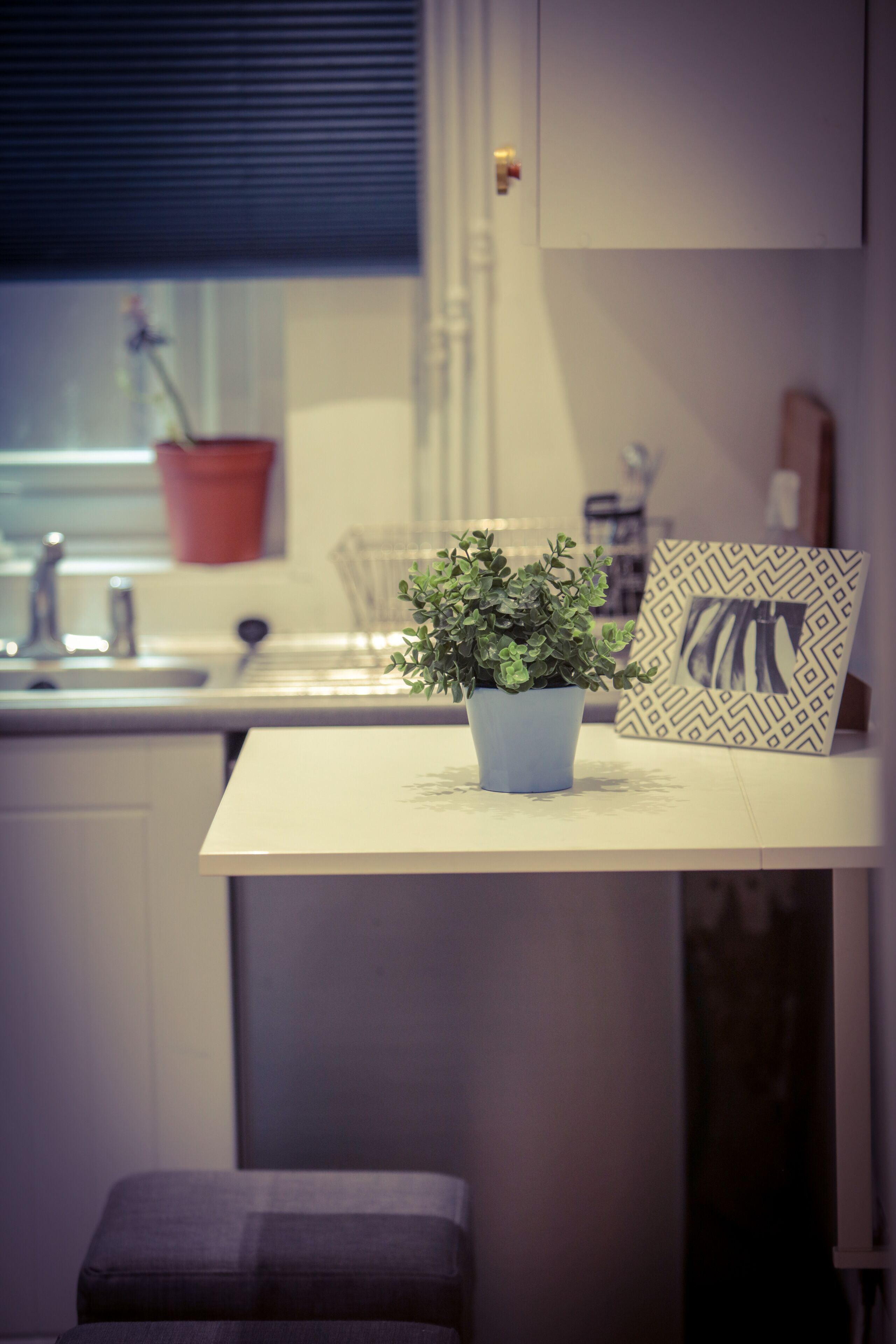 A modern kitchen with a potted plant on the counter, a sink, and a window with blinds.
