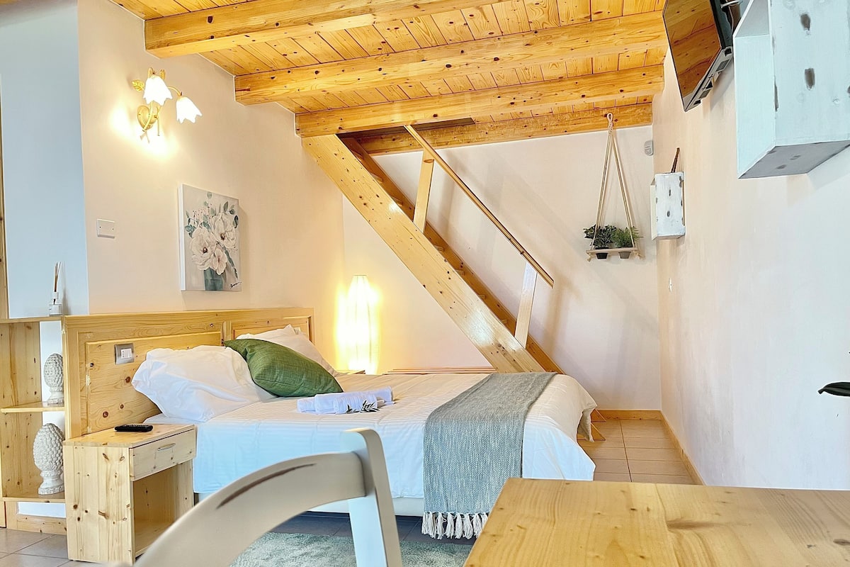 1 chambre, bureau, fer et planche Ă repasser, lit parapluie