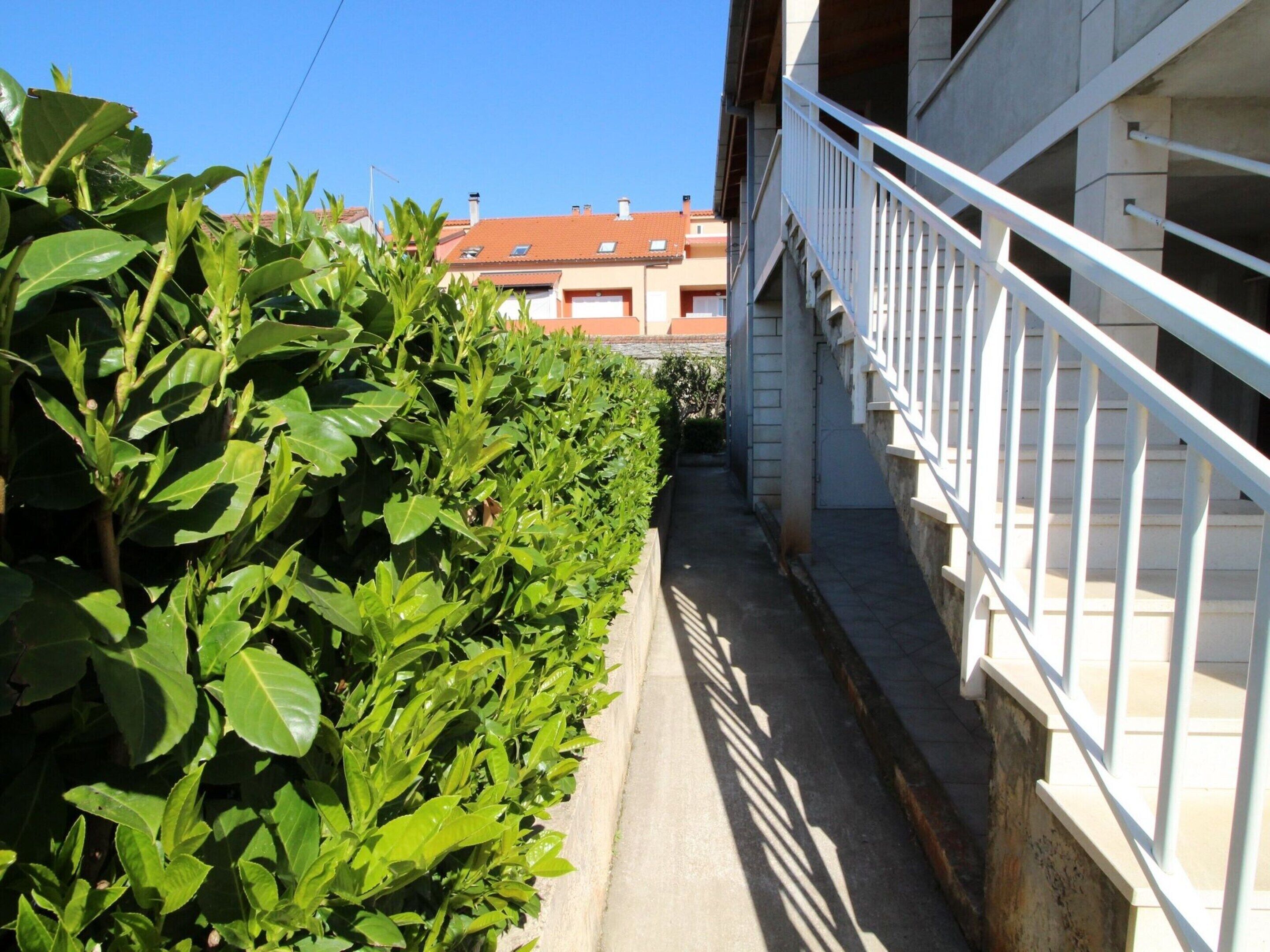 A narrow pathway flanked by lush green foliage, leading to a building with a white railing and a red-tiled roof in the background.