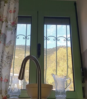 Una puerta verde con dos ventanas, un picaporte de metal y un grifo de metal.