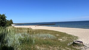 Una playa con un muelle que se adentra en el agua, una orilla arenosa y zonas verdes.