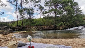 A picnic setup on a sandy beach with a blanket, a basket, and a vase with flowers. - Brondesbury Park Hotel (Juliasdale)
