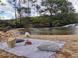 Preparación para un picnic en una playa arenosa, con una manta, una cesta y un florero con flores.