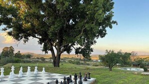 A chessboard set outdoors with a large tree in the background. - Brondesbury Park Hotel (Juliasdale)