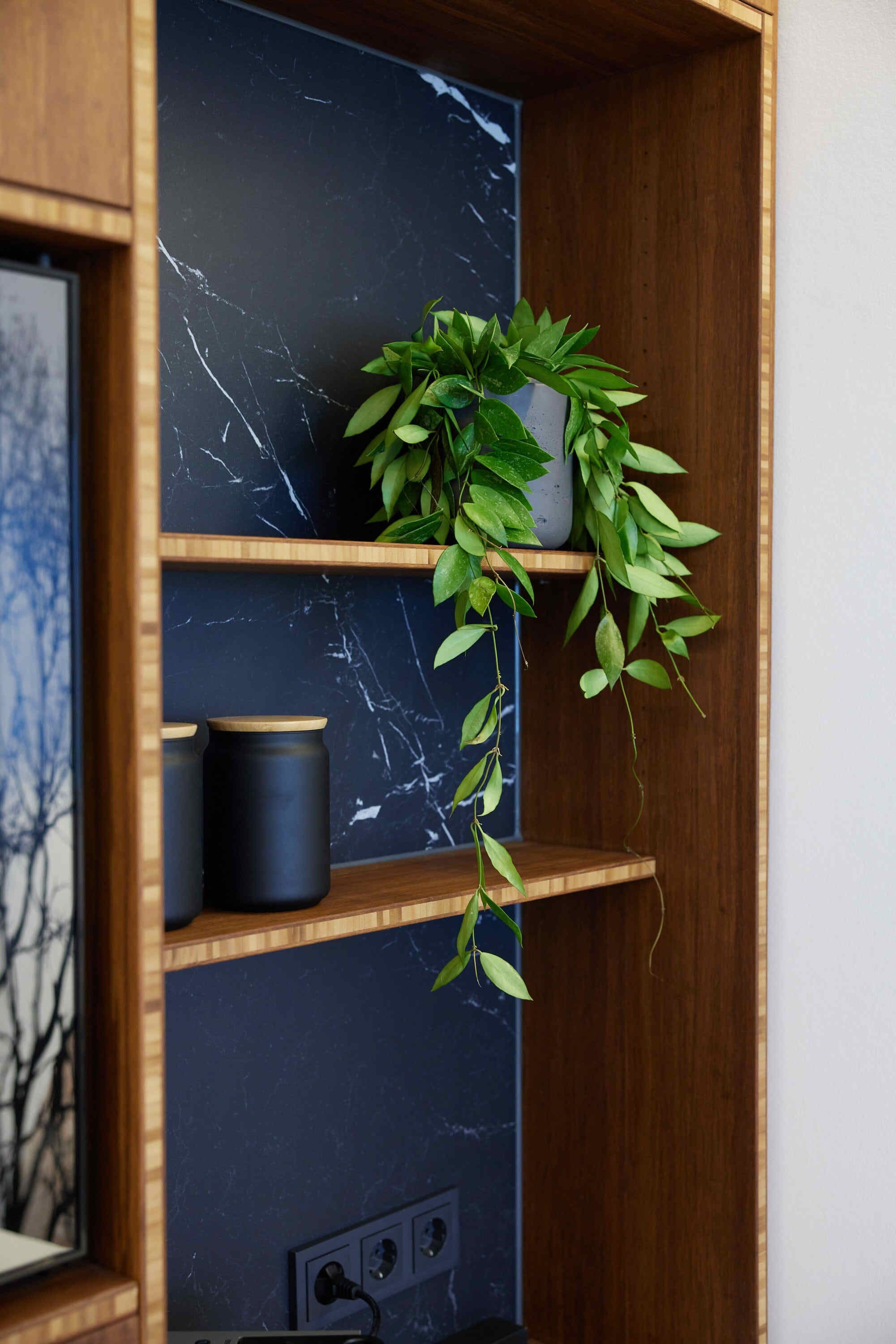 A wooden shelf with a marble backsplash, a potted plant, and two black cylindrical containers.