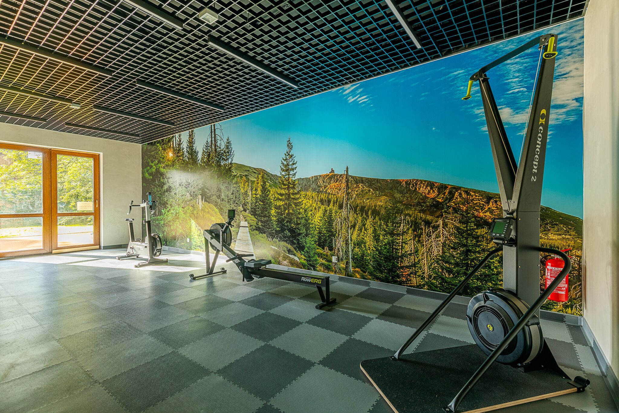 Et træningscenter med træningsudstyr, et muralmaleri af en skov og et stort vindue.