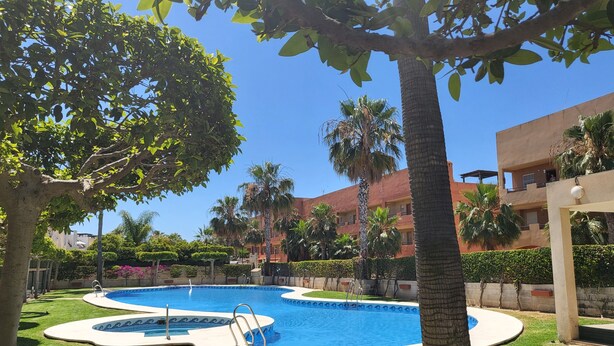 Une piscine avec un palmier au premier plan, entourée d’une pelouse bien entretenue et d’un bâtiment en arrière-plan.