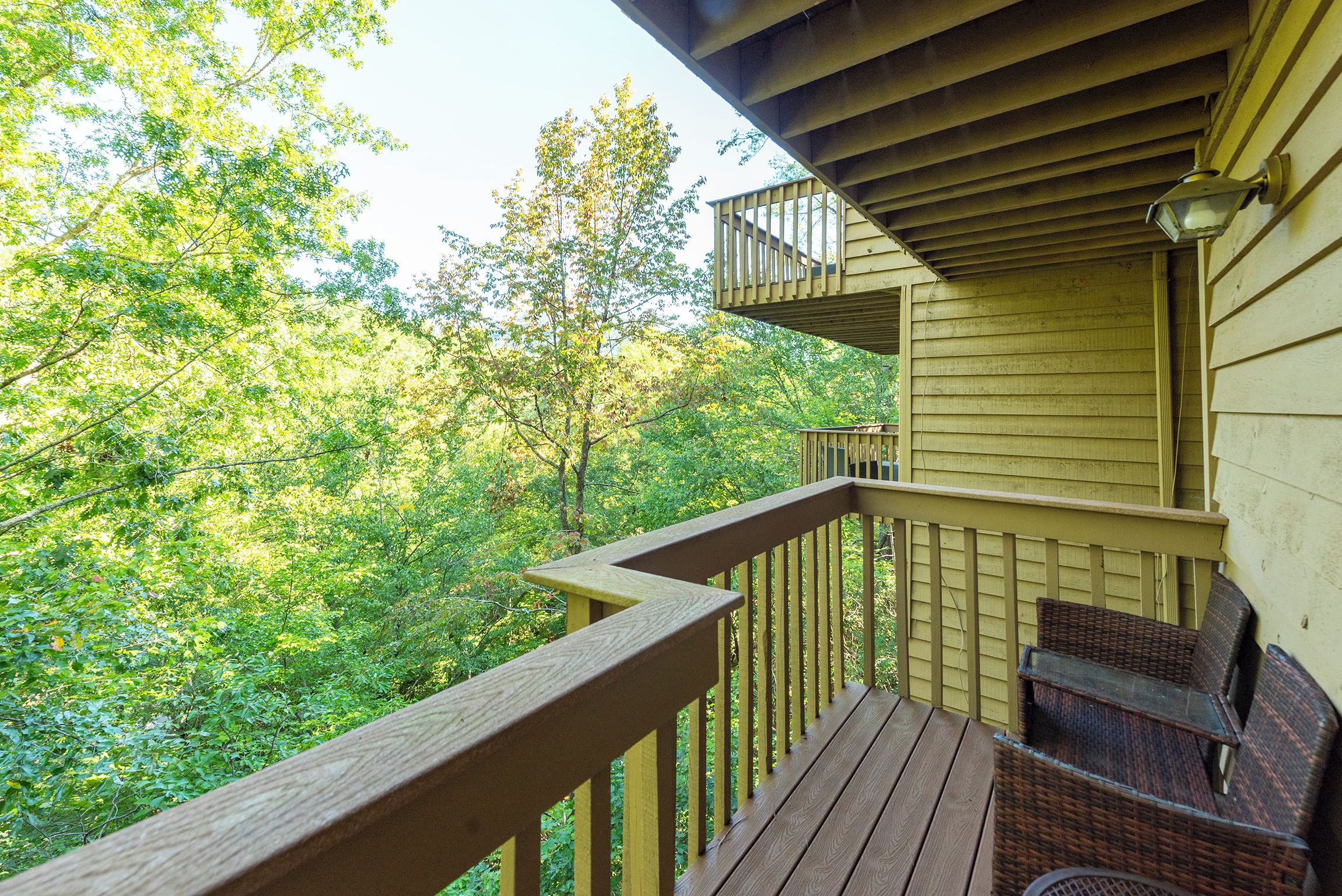 A wooden deck with a railing, overlooking a dense forest.