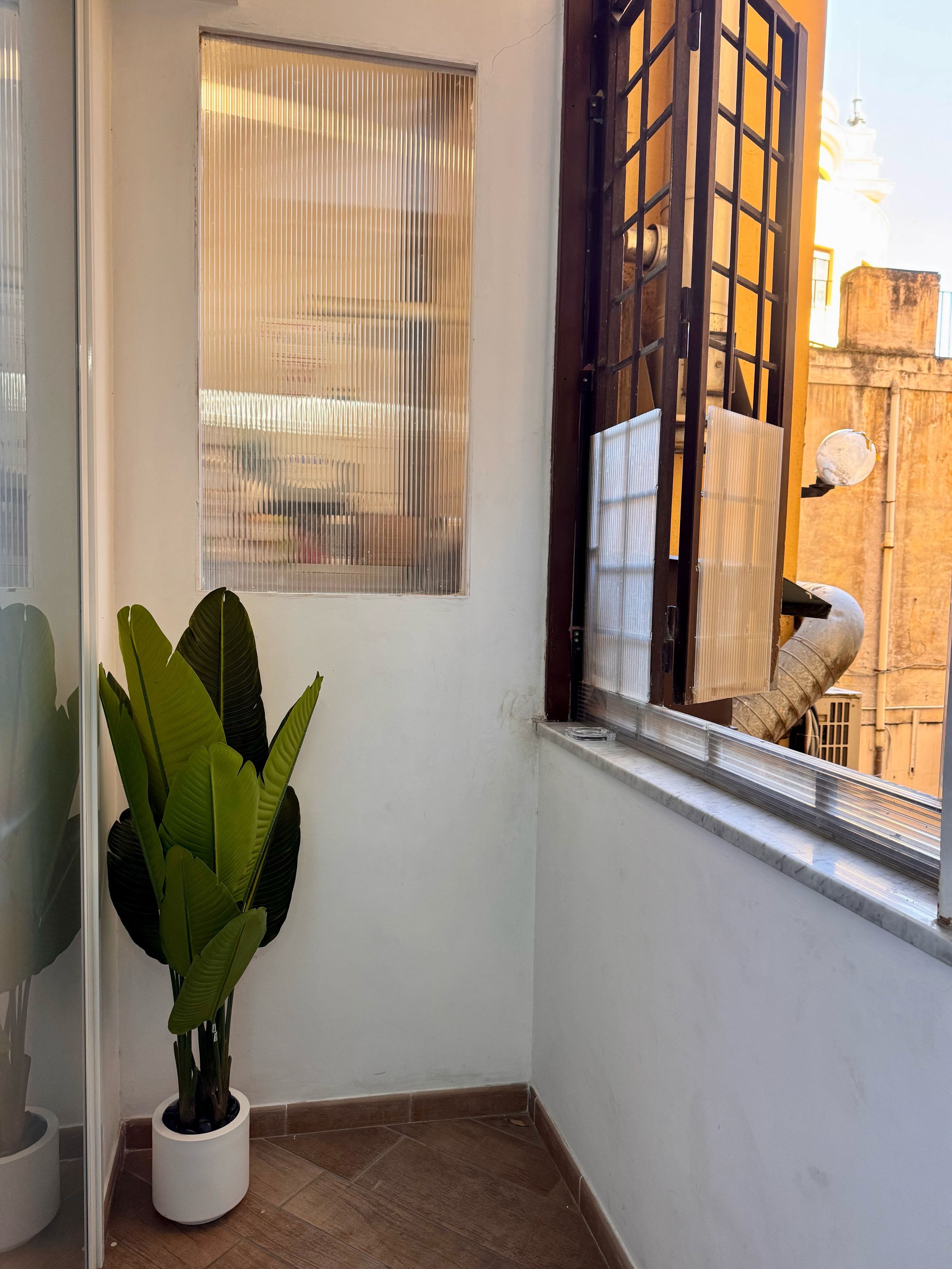 Habitación de esquina con planta en maceta, ventana con persianas y vista a un edificio.