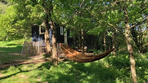 Un hamac suspendu entre des arbres dans une zone boisée, avec une petite cabane en arrière-plan.