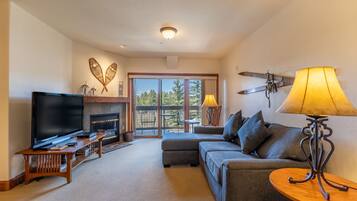 TV, fireplace, DVD player, books