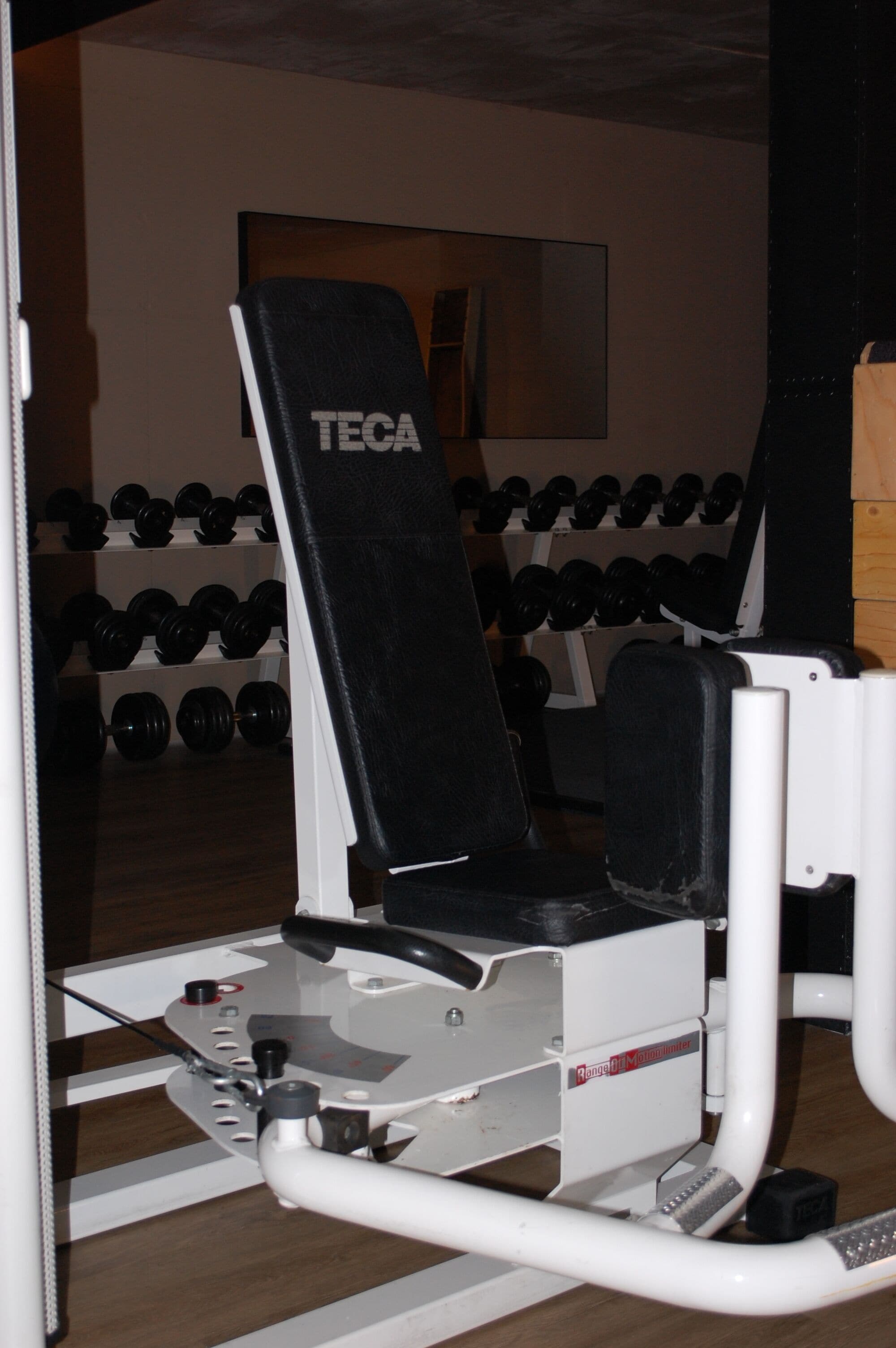 Un gimnasio con una máquina de pesas TECA, estantes para pesas y un espejo en la pared.