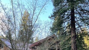 A wooden cabin with a hot tub in a wooded area. - Redwood Creek Getaway! (Redway)