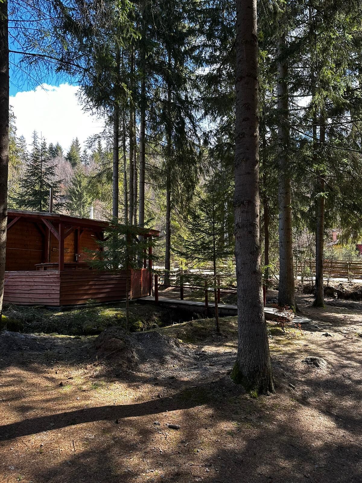 Une cabane située dans une zone boisée, accessible par un sentier de terre.