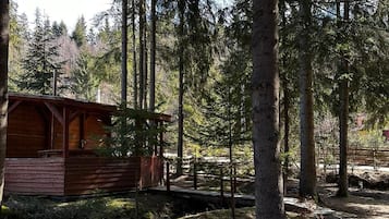 Une cabane située dans une zone boisée, accessible par un sentier de terre.