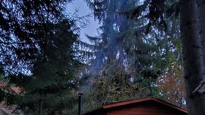 A small wooden cabin with a glass door and windows, surrounded by trees. - Private vacation home in the middle of the Harghita mountains surrounded by (Vărșag)