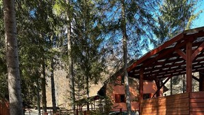 A rustic wooden pavilion with a stone pathway leading to a small stream. - Private vacation home in the middle of the Harghita mountains surrounded by (Vărșag)