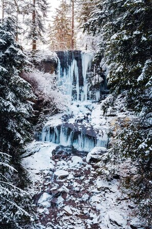 Exterior - Private vacation home in the middle of the Harghita mountains surrounded by (Vărșag)