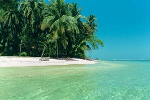 A beach with clear turquoise water, white sand, and palm trees. - Updated Studio in the Heart of Bocas Town (Isla Colon - Bocas del Toro)