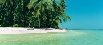 Updated Studio in the Heart of Bocas Town