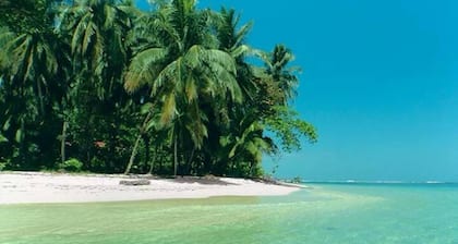 Updated Studio in the Heart of Bocas Town