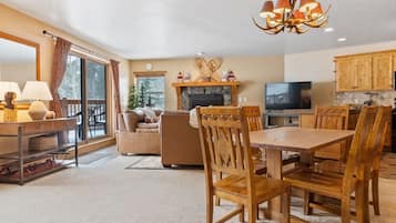 TV, fireplace, DVD player, books