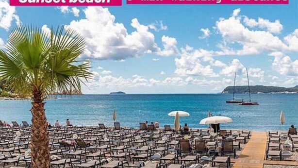 Ein Strand mit Reihen von Liegestühlen und Sonnenschirmen, einer Palme und freiem Blick aufs Meer.